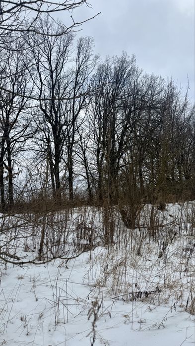 Ділянка біля котеджного містечка, поруч розвинена інфраструктура