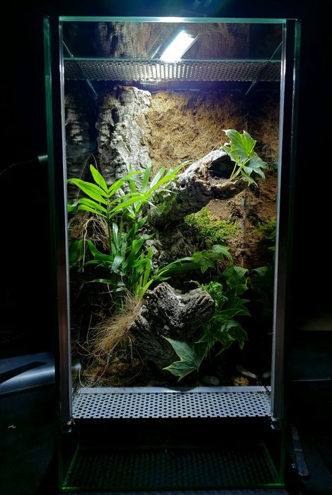 Terrarium na zamówienie | Bioaktywne | Ścianka strukturalna
