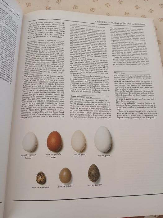O Grande Livro Ilustrado da Culinaria
Maio de 1982
Com 1454 páginas