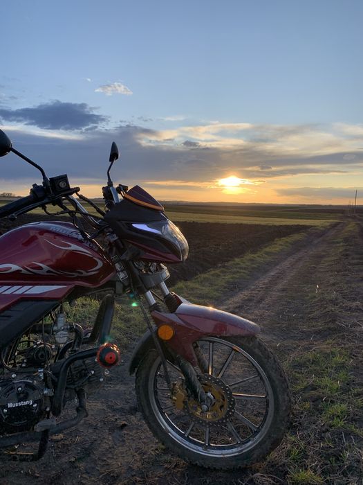 Мустанг фіт 2 2024