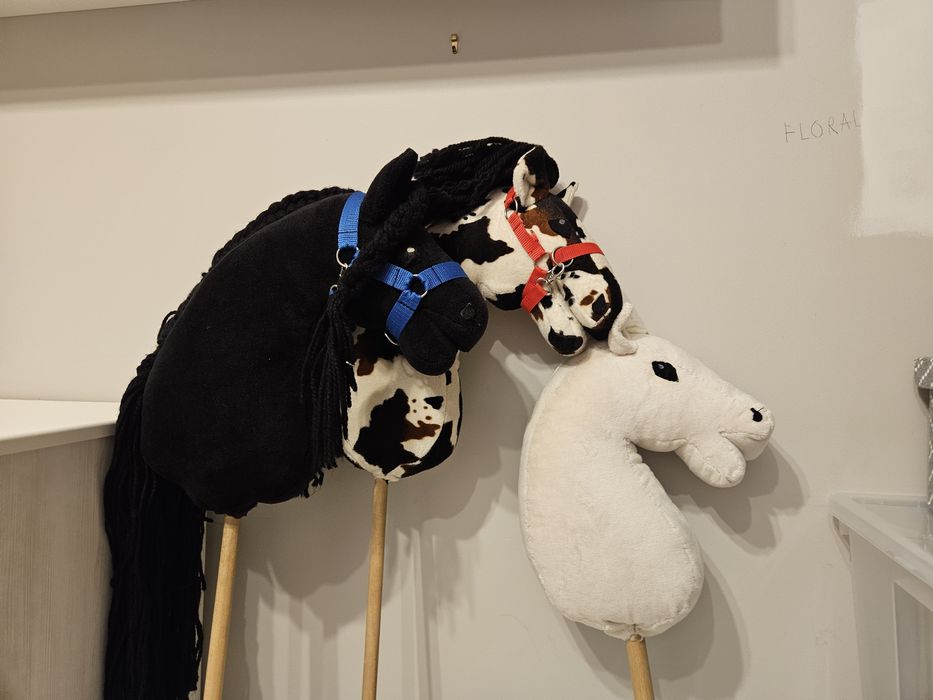 Zestaw trzech hobby horses