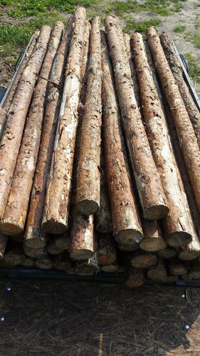 słupki ,stemple, ogrodzenie tymczasowe,budowlane siatka leśna