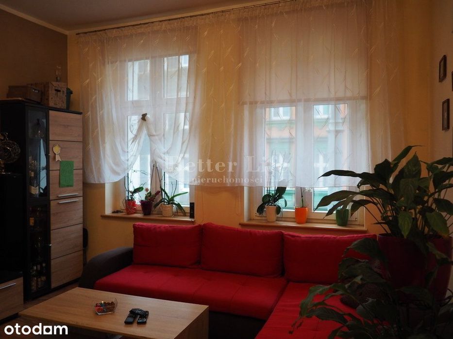 2 pokojowe mieszkanie w centrum Szczecina - Widok 3