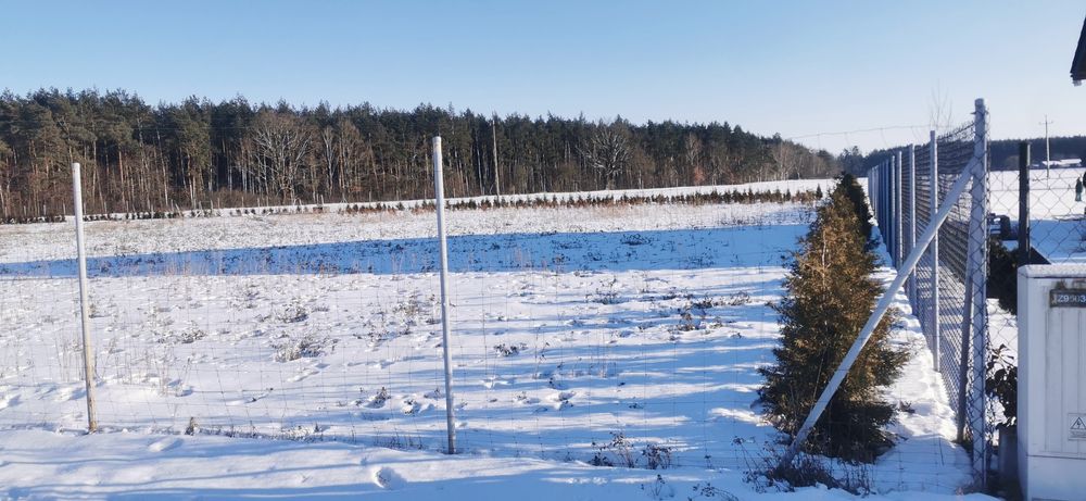 Działka budowlana Lisak 1700m. 100m od lasu. Prąd i woda przy dział