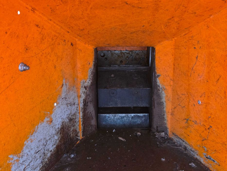 Rębak Timberwolf TW 125PH