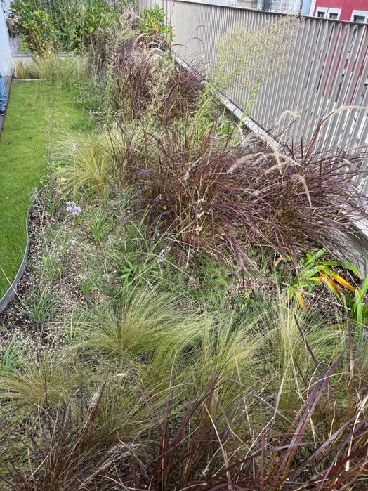 Serviços construção de jardins