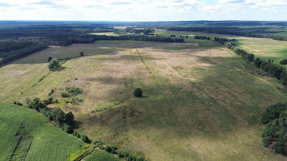 sprzedam grunty rolne