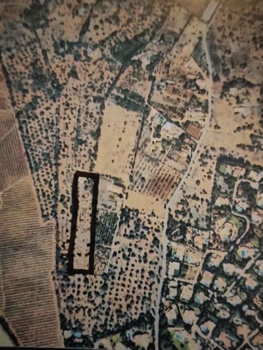 Moradia V4 com 163 M2 e terreno agrícola  com 11.100m2