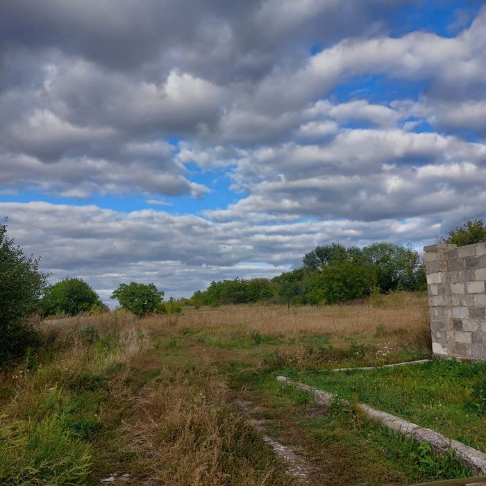 Продам земельну ділянку с. Зернове