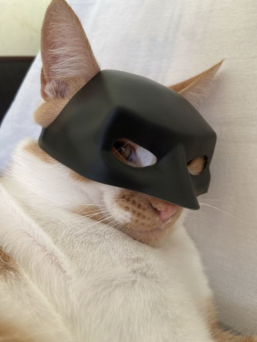Маска бетмена для кота