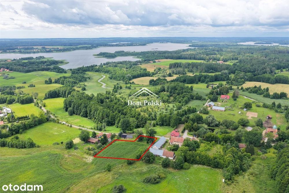 Działka w Puszczy Boreckiej - Mazury - Więcej