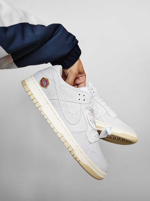 Кросівки Nike Dunk SE Low The Future is Equal premium