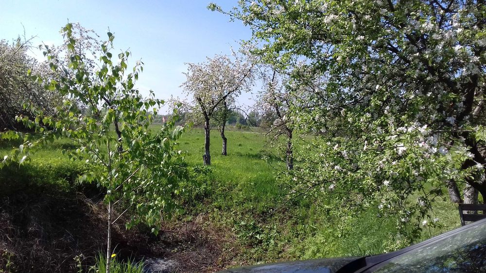 Земельна ділянка , продаж, обмін на автомобіль.