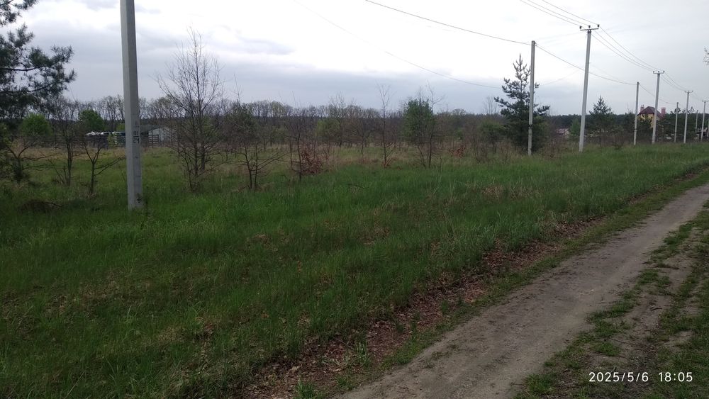 Дзвінкове. Ділянка під забудову площею 15соток біля лісу.