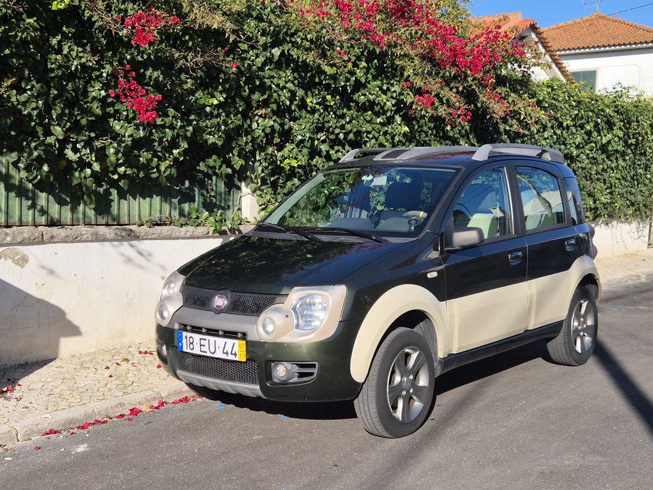 Fiat Panda 4x4 (169)64846542105346120