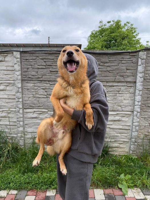 Роні , три роки шукє родину
