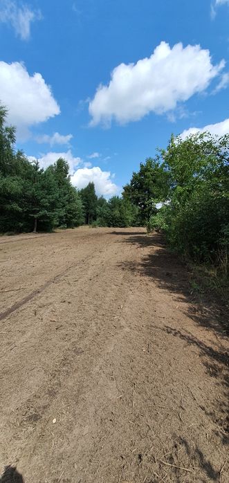 Karczowanie mulczer wgłębny mulczer leśny mulczowanie wycinka drzew