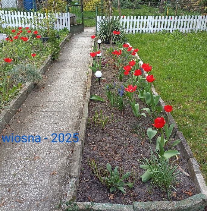 Sprzedam dużą działkę ROD 470 m² - Widok 3