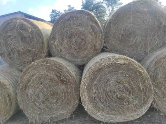 Siano 2025, prasa Lely v160