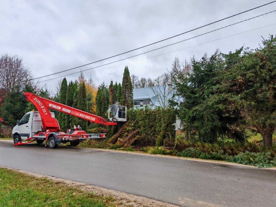 Wycinka przycinanie pielęgnacja drzew także bardzo trudnych