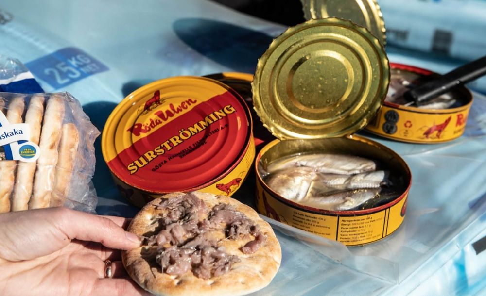 Śledzie kiszone Surströmming 400g 2 puszki