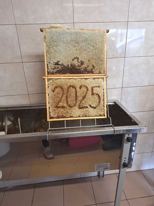 Sprzedam miód pszczeli z własnej pasieki 2025r