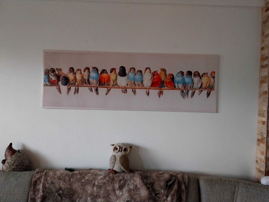 Quadro/tela com aves/pássaros