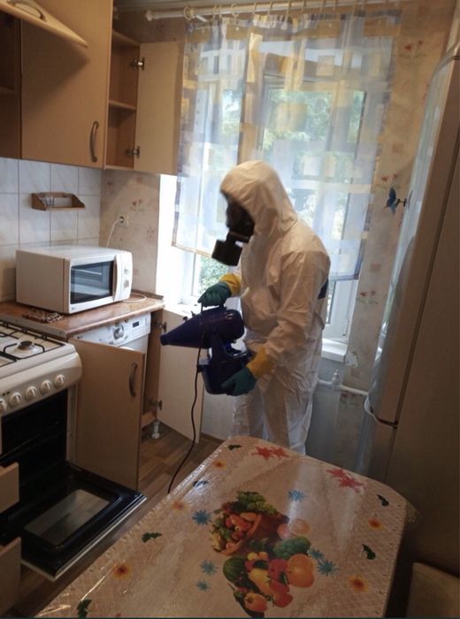 Уничтожение тараканов,  блох, клопов! Быстро, с гарантией результата!