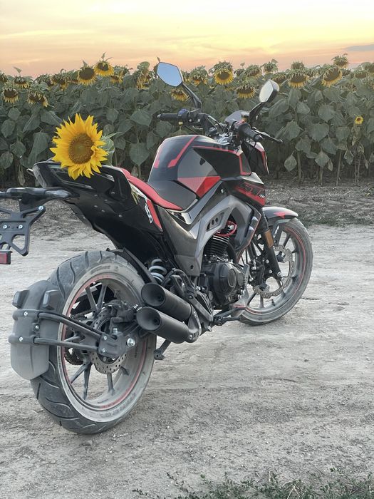 мотоцикл мустанг ст 200