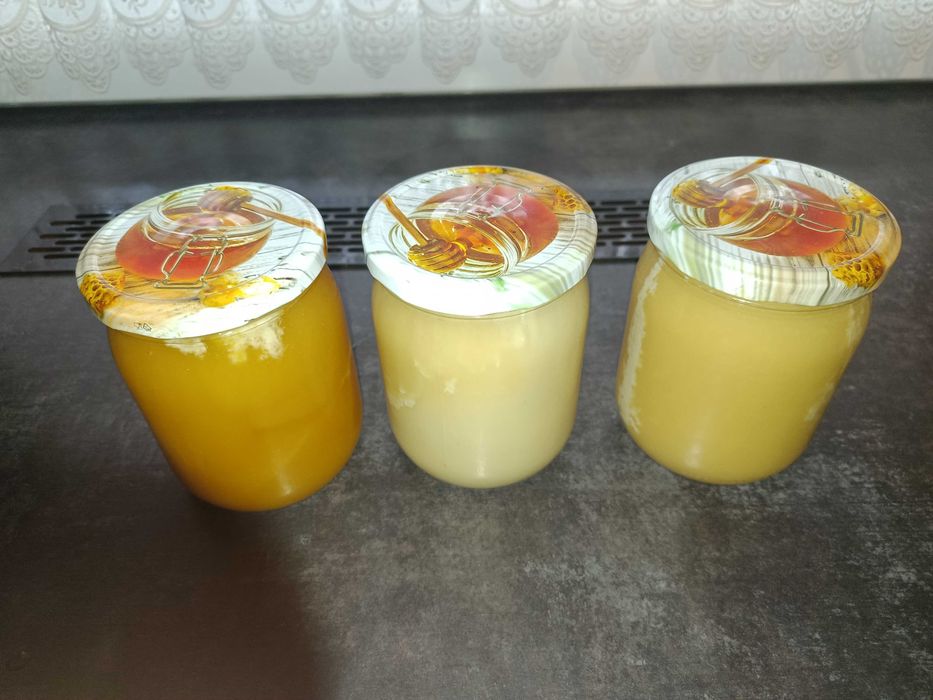 Miód pszczeli naturalny słoik 500 ml