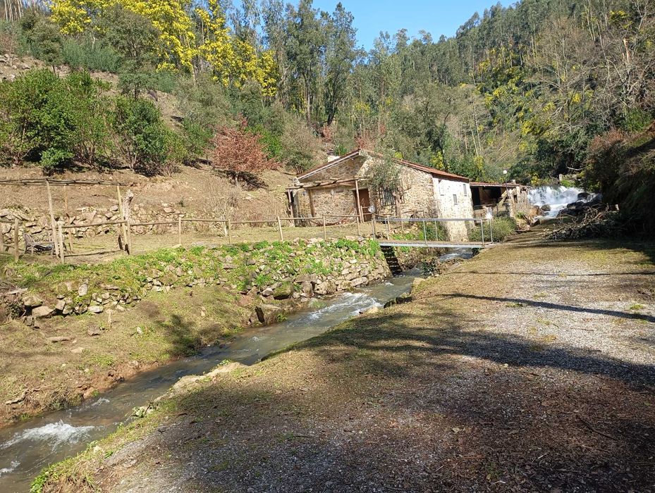 Limpeza de terrenos agrícolas