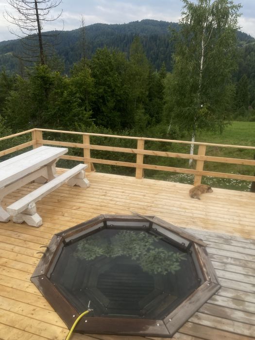 Оренда котеджу з ЧАНОМ та басейном в Карпатах на 4-6чол. с.Микуличин