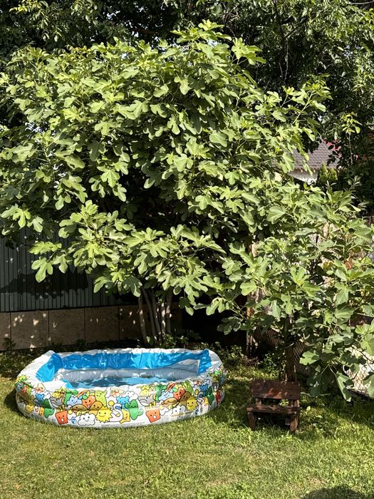 2-rooms apartment apartment by the address (area 69 m²) - Atlanta.ua - photo 19