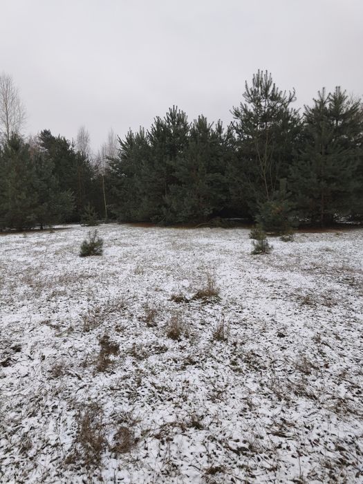 Sprzedam działkę budowlaną 1600 m2