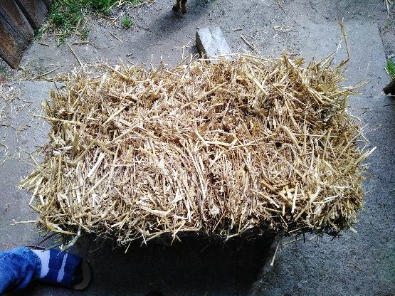 SŁOMA pod truskawki