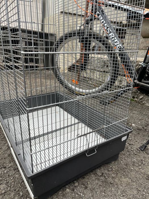 Клітка для пацюків