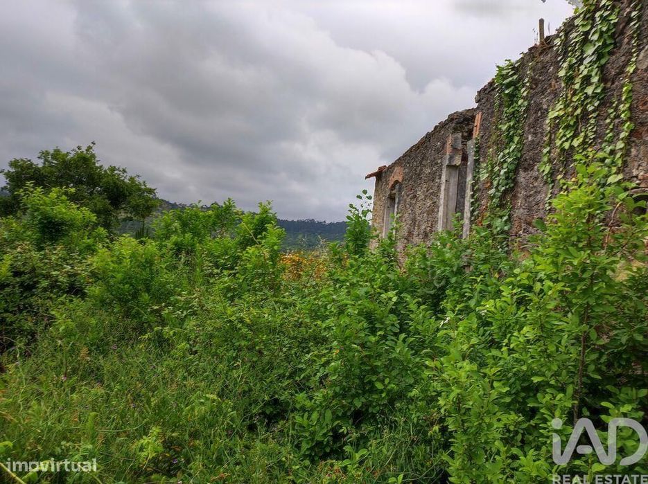 Terreno para construção em Colmeias e Memória de 116,00 m2