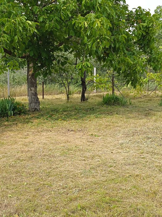 Земельна ділянка під будівництво або садівництво