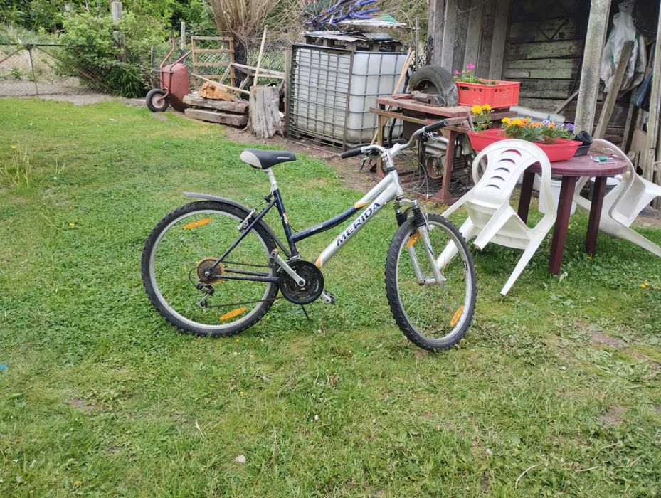 Rower damka na kołach 26