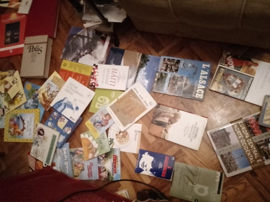 Grandes Saldos Saramago/outros raros/BD juvenil e muitos mais Desde 2E