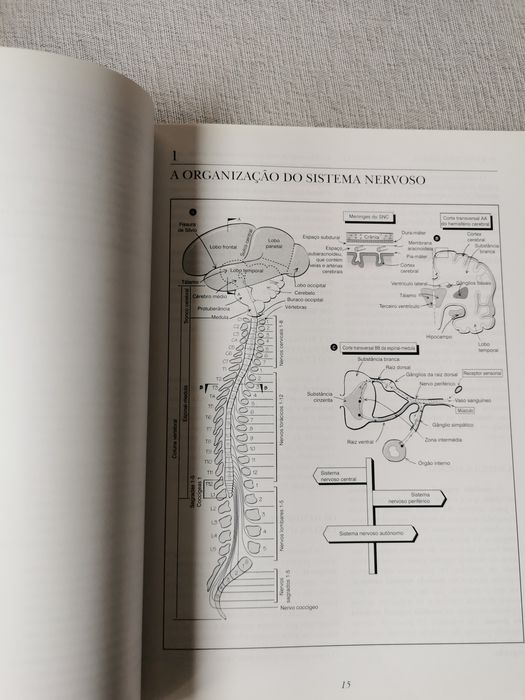 Compêndio de Neurociência
