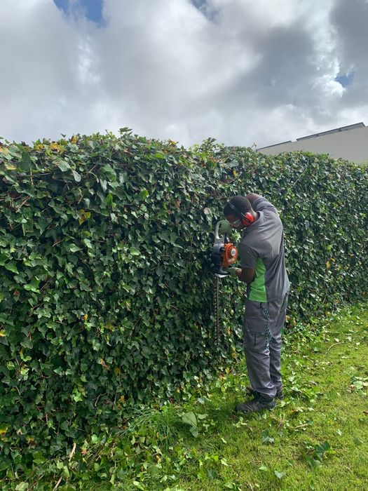 Temos serviços de jardins