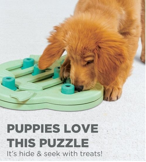 Gra węchowa dla szczeniaka - łamigłówka na przysmaki Hide 'N Slide 2