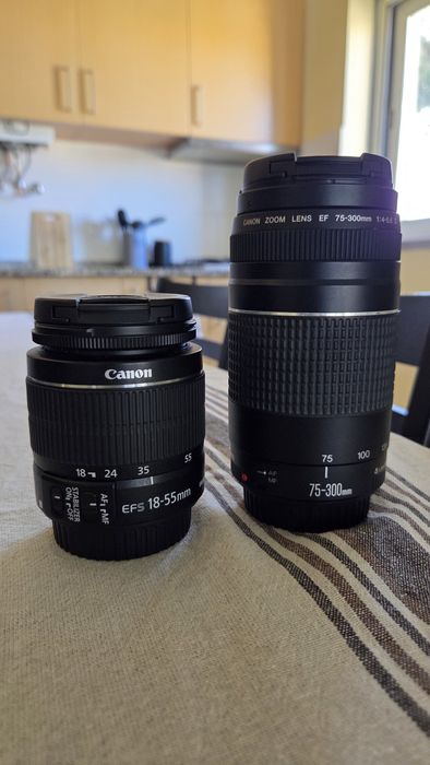 Lentes Canon (18-55 e 75-300)