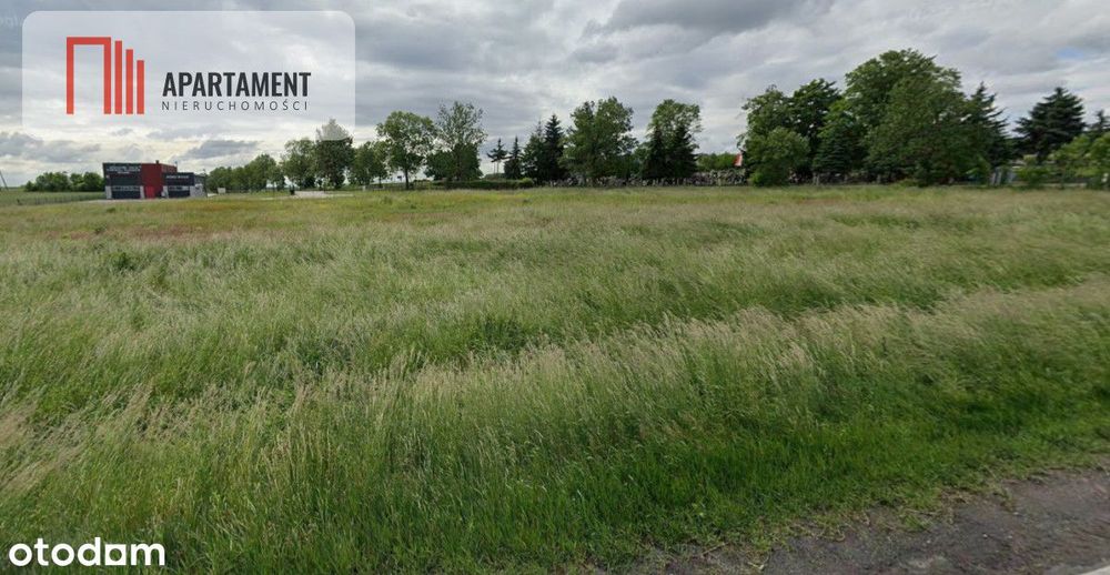 Działka inwestycyjna przy Dk36 - Widok 6