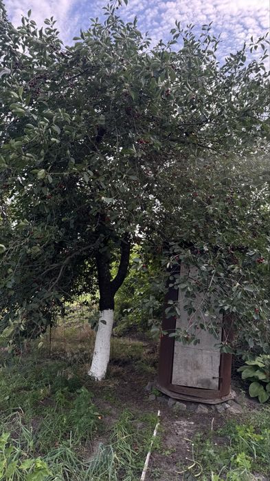 Продам дачний участок