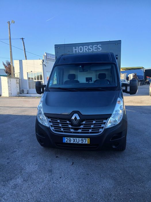 Renault Master transporte de cavalos