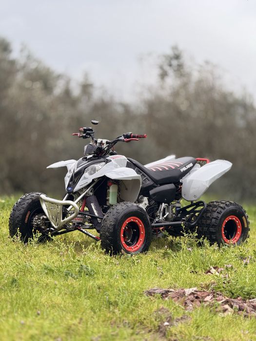 Polaris predator 500