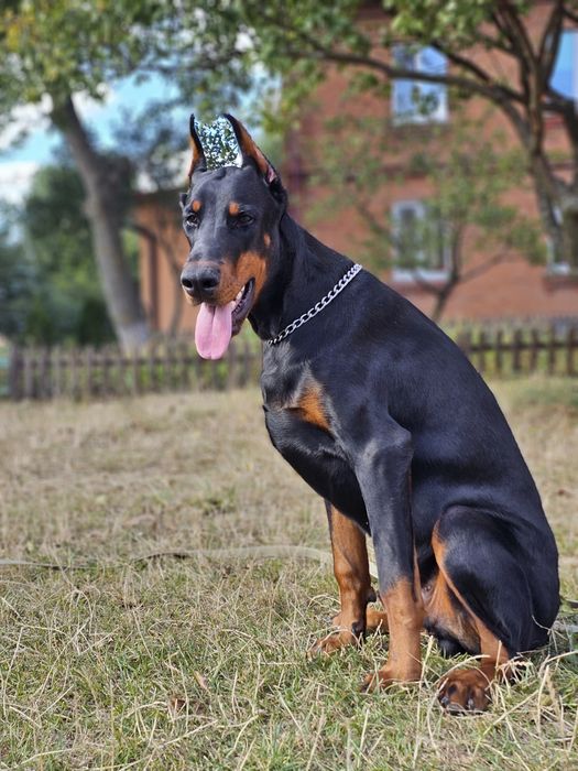 Найкращий хлопчик у найкращі ручки