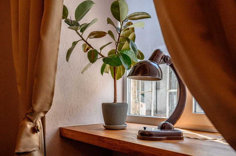 Аренда квартиры 1 этаж  посуточно/помесячно Центр города/6010